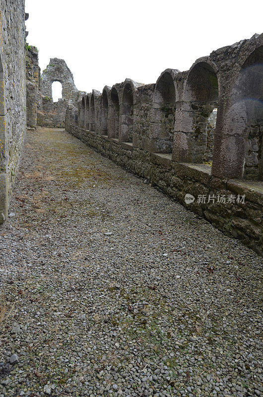 Athassel修道院中世纪废墟Co Tipperary爱尔兰修道院路径